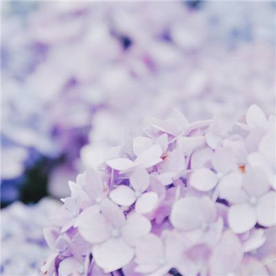 果燃不是好鸟最新版(暂未上线)v1.0.0 安卓版
